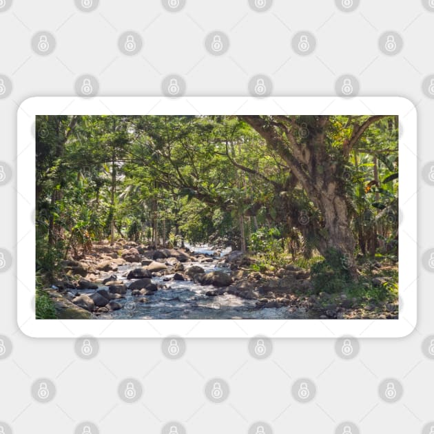 Mountain Stream, Jasaan, Misamis Oriental, Mindanao, Philippines Sticker by Upbeat Traveler